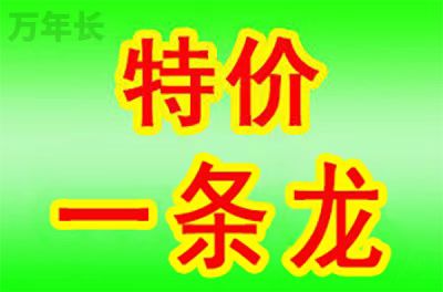 南昌江西省南昌市东湖区墓地哪个好？